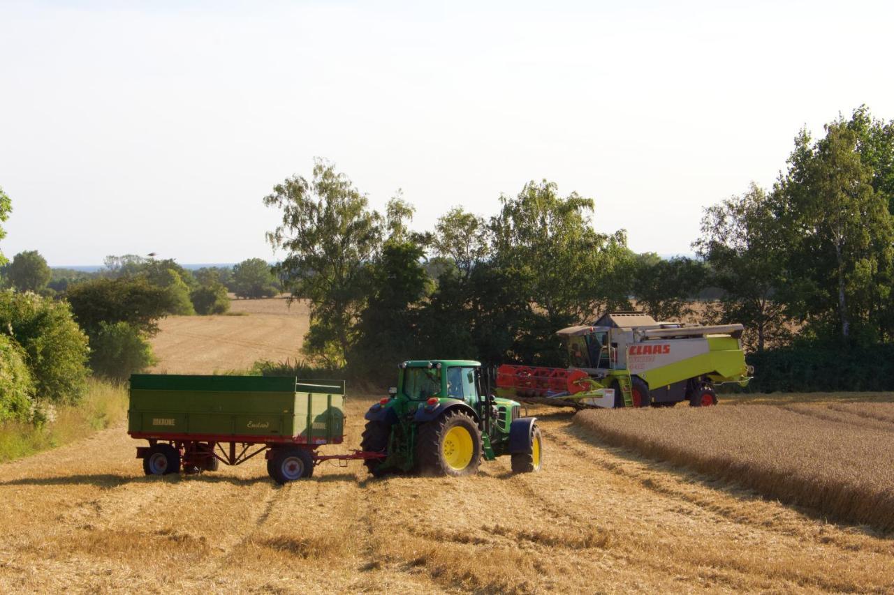 Backhaus Meeresblick Meeschendorf Esterno foto